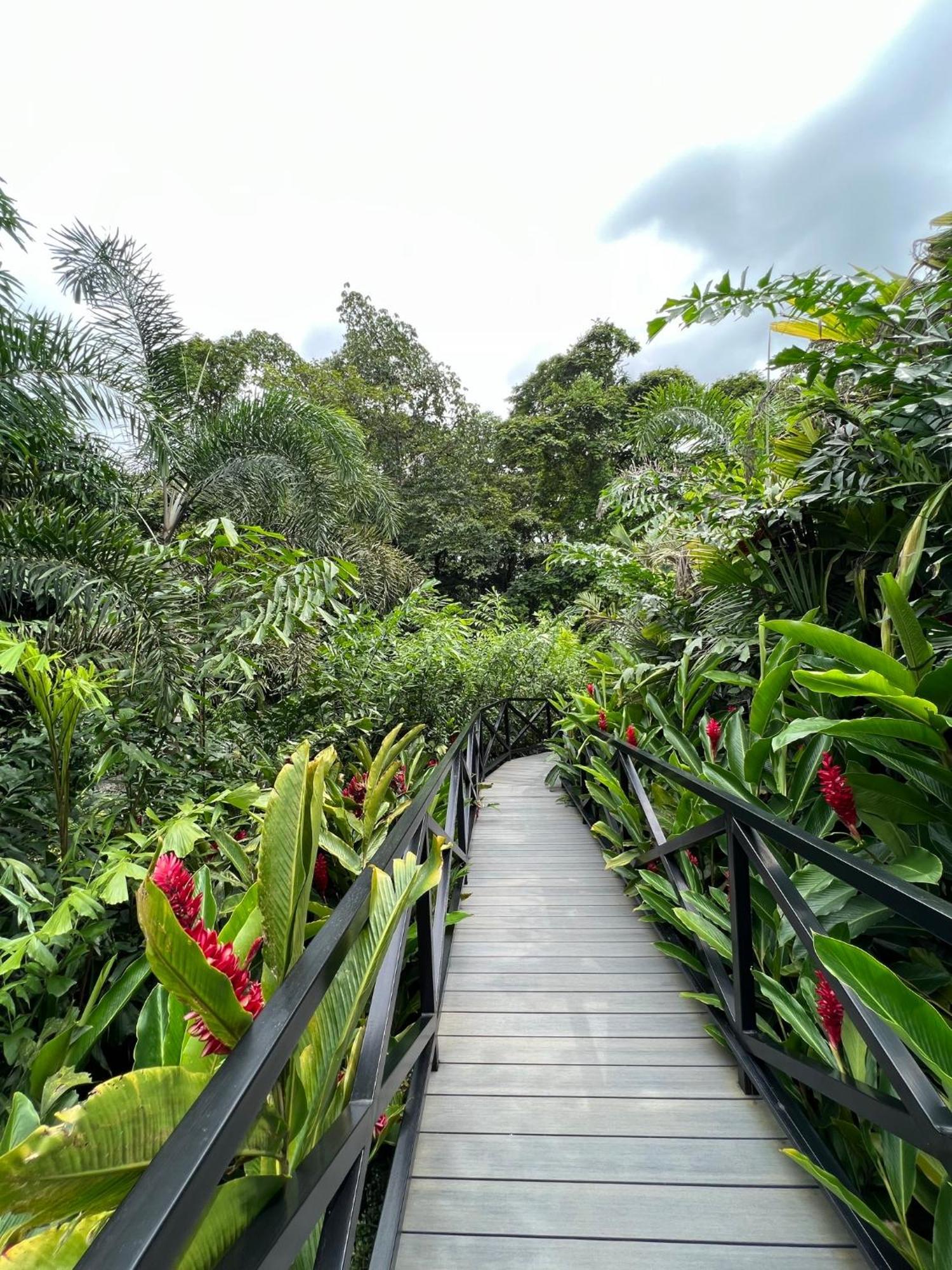 Hotel Boutique Casa Del Rio La Fortuna Eksteriør billede