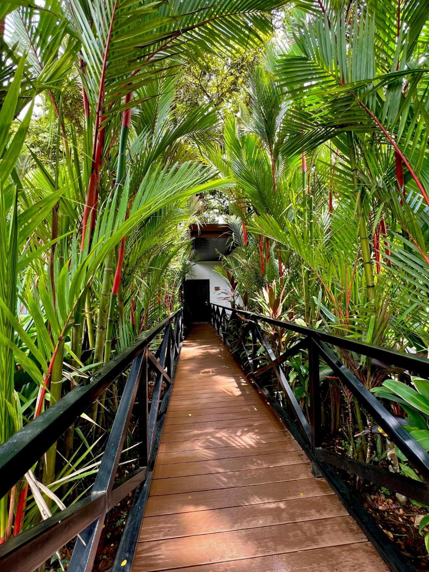 Hotel Boutique Casa Del Rio La Fortuna Eksteriør billede
